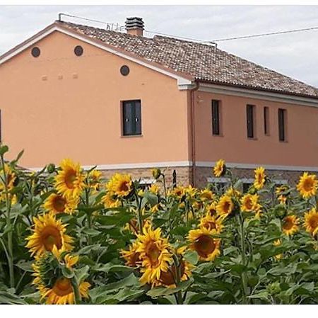 La Dolce Vita Porto Recanati Exterior foto