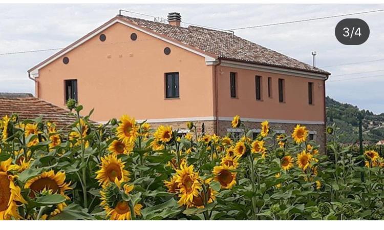 La Dolce Vita Porto Recanati Exterior foto