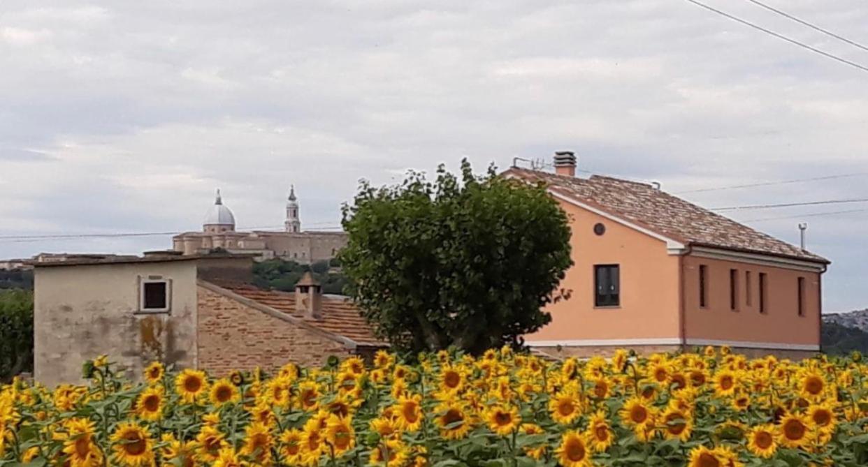 La Dolce Vita Porto Recanati Exterior foto